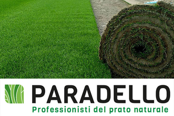 14_paradello_promo