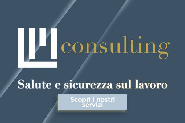16_lmconsulting_promo