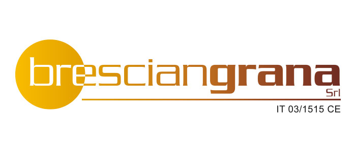 bsfc_sito_logo_bresciangrana